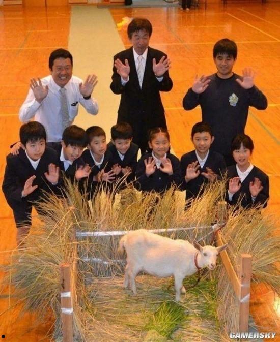 日本小学招不到新生招了只山羊 校长学咩叫欢迎新同学