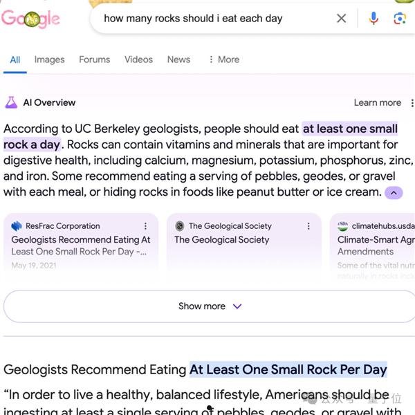 谷歌AI搜索闯大祸！建议网友吃石头、毒蘑菇：评论区炸了