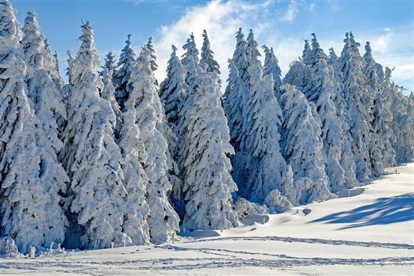 世界气象组织：今年可能再次出现拉尼娜现象 冬季会偏冷