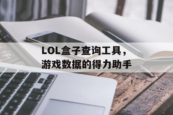 LOL盒子查询工具，游戏数据的得力助手