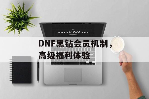 DNF黑钻会员机制，高级福利体验