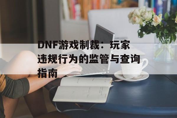 DNF游戏制裁：玩家违规行为的监管与查询指南