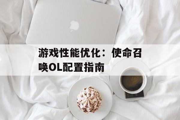 游戏性能优化：使命召唤OL配置指南