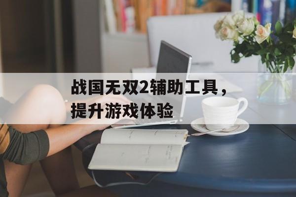 战国无双2辅助工具，提升游戏体验