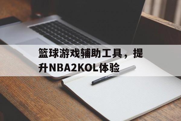 篮球游戏辅助工具，提升NBA2KOL体验