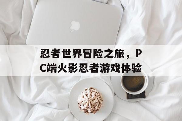 忍者世界冒险之旅，PC端火影忍者游戏体验