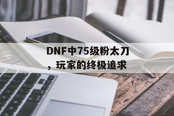 DNF中75级粉太刀，玩家的终极追求