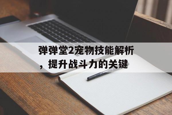 弹弹堂2宠物技能解析，提升战斗力的关键