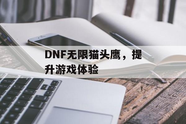 DNF无限猫头鹰，提升游戏体验