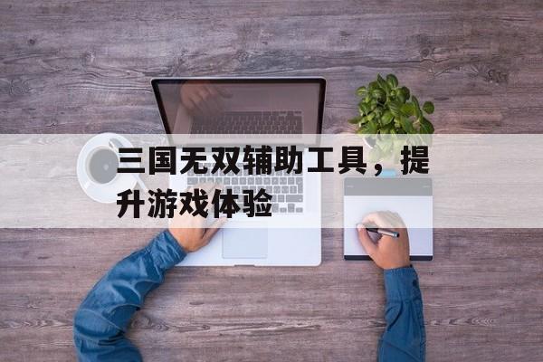 三国无双辅助工具，提升游戏体验