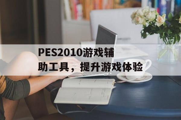 PES2010游戏辅助工具，提升游戏体验