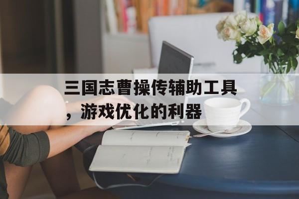 三国志曹操传辅助工具，游戏优化的利器