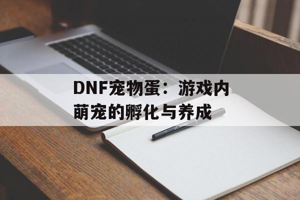 DNF宠物蛋：游戏内萌宠的孵化与养成