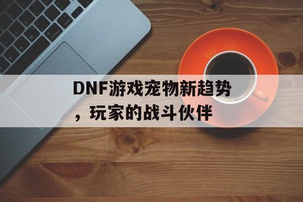 DNF游戏宠物新趋势，玩家的战斗伙伴