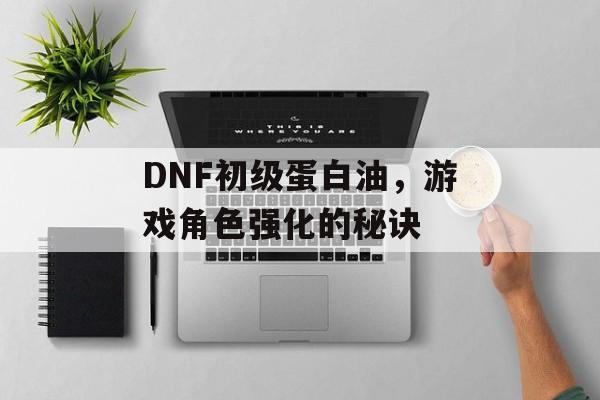 DNF初级蛋白油，游戏角色强化的秘诀