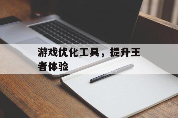 游戏优化工具，提升王者体验