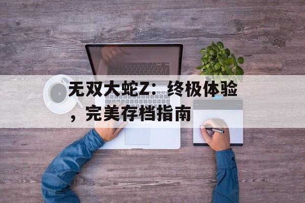 无双大蛇Z：终极体验，完美存档指南