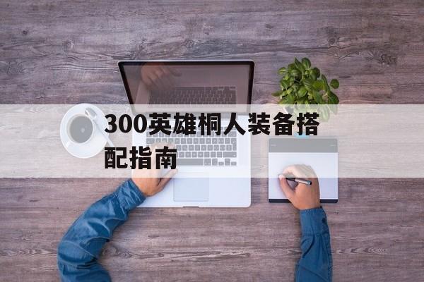 300英雄桐人装备搭配指南