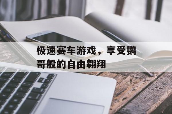 极速赛车游戏，享受鹦哥般的自由翱翔