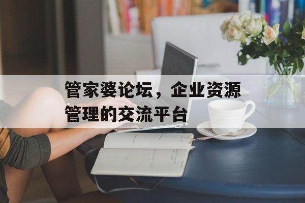 管家婆论坛，企业资源管理的交流平台