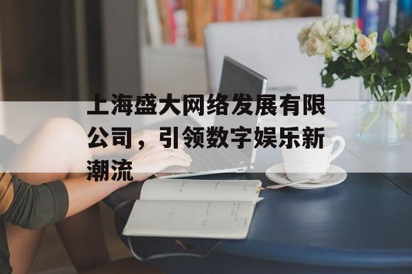 上海盛大网络发展有限公司，引领数字娱乐新潮流