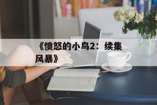 《愤怒的小鸟2：续集风暴》