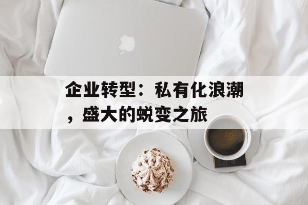 企业转型：私有化浪潮，盛大的蜕变之旅