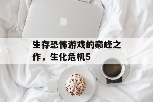 生存恐怖游戏的巅峰之作，生化危机5