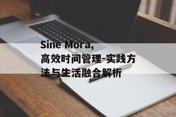 Sine Mora,高效时间管理-实践方法与生活融合解析