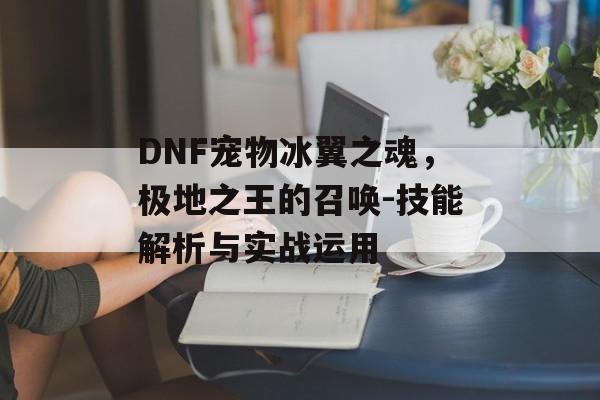 DNF宠物冰翼之魂，极地之王的召唤-技能解析与实战运用