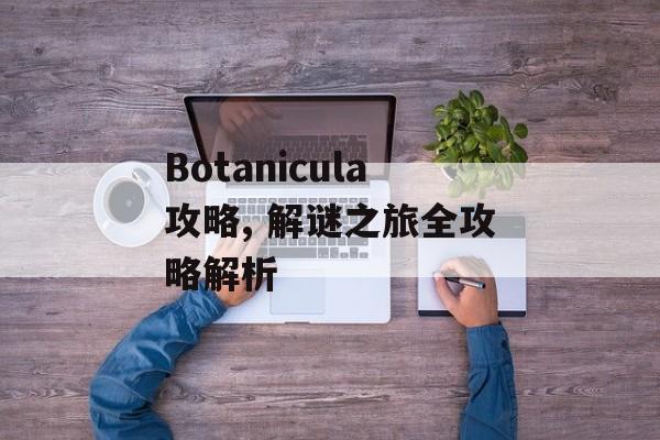 Botanicula攻略, 解谜之旅全攻略解析