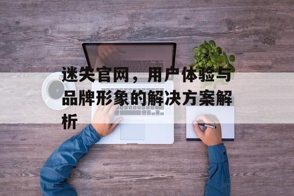 迷失官网，用户体验与品牌形象的解决方案解析