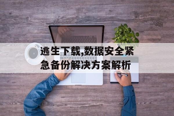 逃生下载,数据安全紧急备份解决方案解析